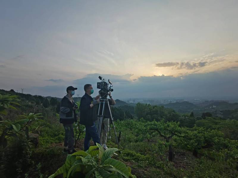创意破圈！管城回族区电商产品宣传视频用故事化叙事引爆流量