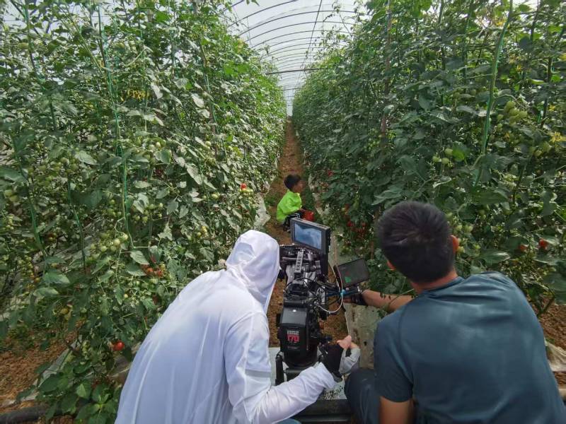 管城回族区产品宣传视频拍摄公司进阶指南，助力品牌抢占传播高地